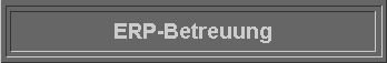  ERP-Betreuung 