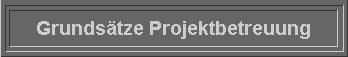  Grundstze Projektbetreuung 