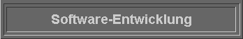  Software-Entwicklung 
